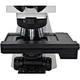 Motorized Automatic Biological Fluorescent Microscope